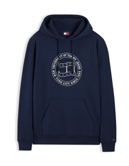 Tommy Jeans Sudadera de felpa con capucha y logo lineal